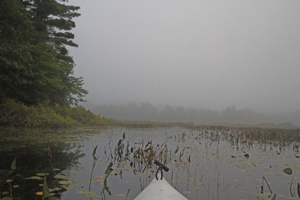 Kayak Foggy Morn 027 (1024x683)